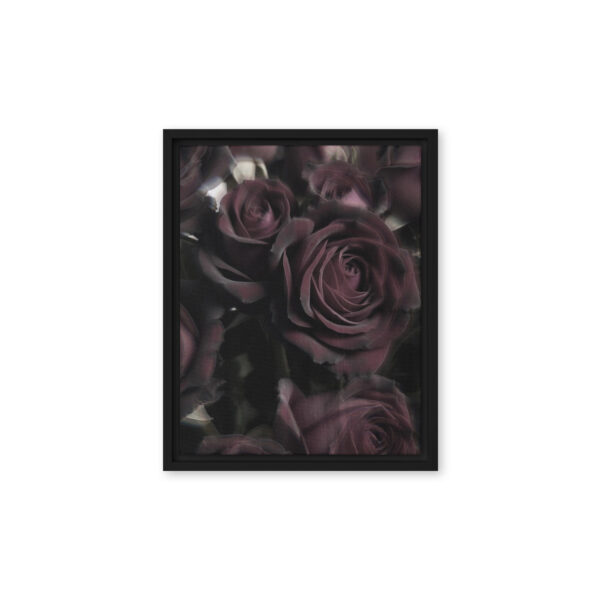 Black Baccara - Framed Fine Art Canvas Print - Image 2