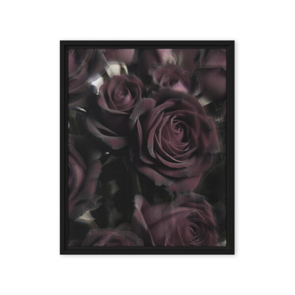 Black Baccara - Framed Fine Art Canvas Print - Image 3
