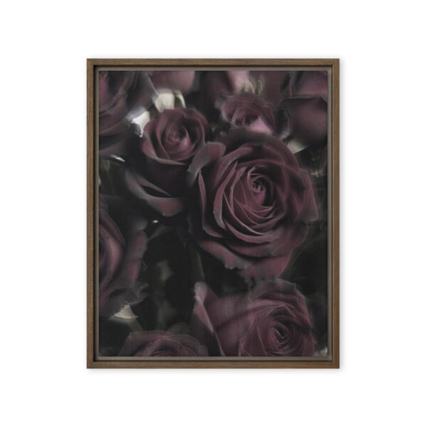 Black Baccara - Framed Fine Art Canvas Print - Image 5