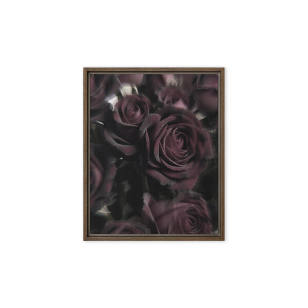 Black Baccara - Framed Fine Art Canvas Print - Image 4